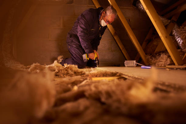 Best Insulation Installation Services in Hertford, NC